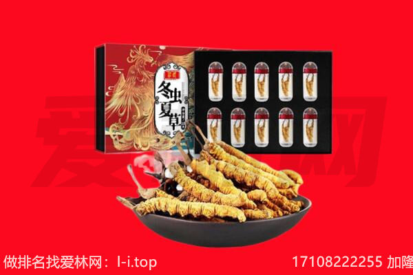 玉林市回收虫草.jpg